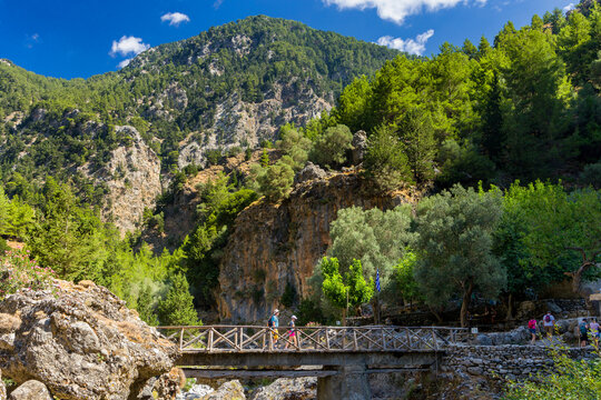 Hikers in a huge natural gorge with towering cliffs and pine trees (Samaria Gorge, Crete, Greece)