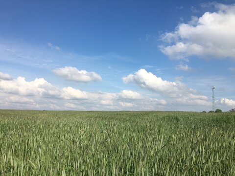 Modlin