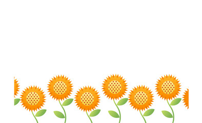 sunflower background with natural theme, on white background