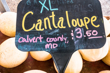 Cantaloupe melons from Calvert county for sale at a country market. - obrazy, fototapety, plakaty