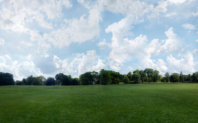 Green grass lawn and trees park day sky with white clouds and blue light