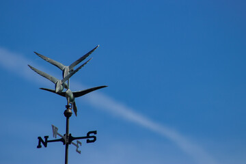 Geese and weather vane