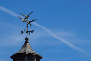 Geese and weather vane