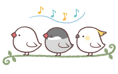 ブンチョウとキバタンの音符のライン