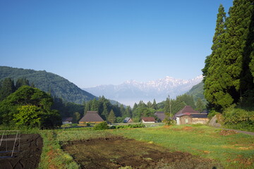 静かな美しい早朝の日本の風景