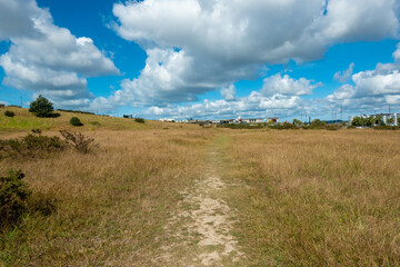 Obraz premium ニュージーランドのオークランドの観光名所を観光している風景 Scenery of sightseeing in Auckland, New Zealand.