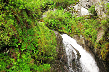 Fototapeta na wymiar The stormy stream of the waterfall flows from a sheer cliff surrounded by stone boulders overgrown with bushes.
