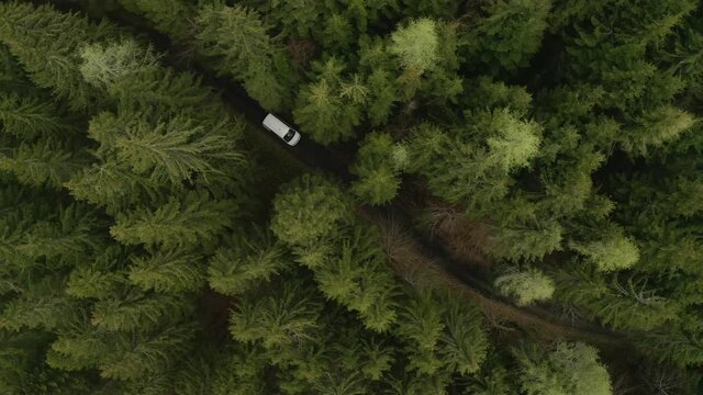 Bird’s eye view, white van passing through curved road in Liezen in Austria, pine trees in the background.