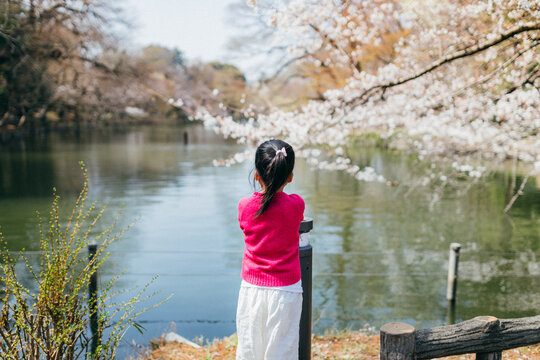 Spring in Tokyo