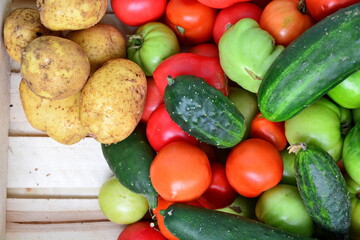 Vegetables in a wooden box. Heap of natural red and green tomatoes, yellow fresh tuber of potatoes and cucumbers on the boards. Top view, copy space