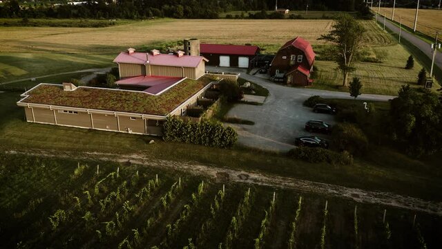 Aerial video of a winery at sunset. Filmed in 4K