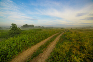 Fototapeta na wymiar a dirt road runs through a picturesque field on a warm, clear summer morning