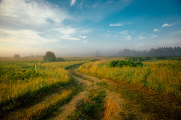 Fototapeta na wymiar a dirt road runs through a picturesque field on a warm, clear summer morning