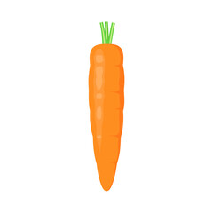 A whole carrot in a cartoon design on a white background. Ripe raw vegetable.