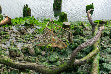 Abandoned and Mangled Shopping Cart Sitting in Harbor