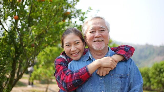 Smiling young Asian woman with senior man farmer picking organic orange fruit together. Happy family farm owner harvest ripe orange in orange orchard. Agriculture product business industry concept