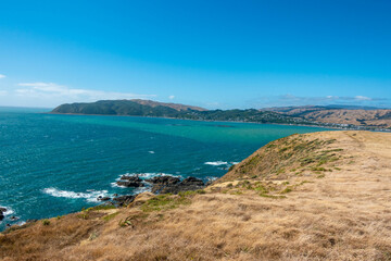 Fototapeta na wymiar ニュージーランドのウェリントンの観光名所を旅行している風景 Scenes from a trip to Wellington, New Zealand. 