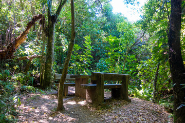 ニュージーランドのウェリントンの観光名所を旅行している風景 Scenes from a trip to Wellington, New Zealand. 