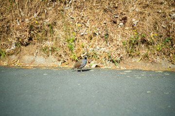 ニュージーランドのウェリントンの観光名所を旅行している風景 Scenes from a trip to Wellington, New Zealand. 