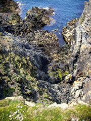 Cliffs between Port Erin and Sound