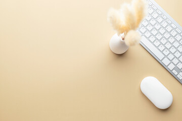 Office desk table top view. Ceramic vase with reed grass and office supply, Beige table with copy space, Beige color workplace composition, flat lay