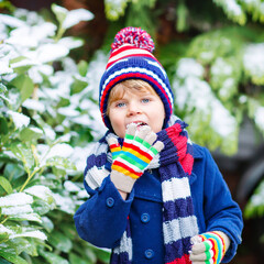 Winter portrait of little kid boy in colorful clothes, outdoors during snowfall. Active outdoors leisure with children in winter on cold snowy days. Happy child having fun with snow.