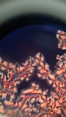 ascorbic acid crystals under microscope