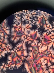 ascorbic acid crystals under microscope