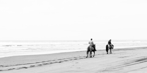 horses on the beach