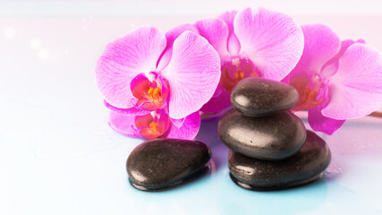 Fototapeta na wymiar Orchid flower and black pebble spa stones over pink background. Beauty spa banner.