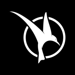 Flying bird logo design vector graphic