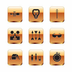 Set Sniper optical sight, Tourist tent, Bullet and cartridge, Hipster arrows, Medieval spear, Canteen water bottle and Bear head on shield icon. Vector