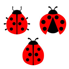 Ladybug vector graphic illustration, isolated on white. Cute simple flat design of black and red ladybird.