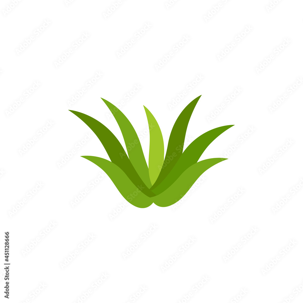 Wall mural Aloe vera icon design illustration template