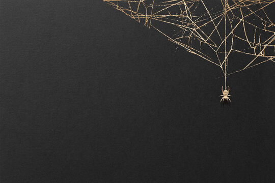 ハロウィン クモ スパイダー 金箔 ゴールド 蜘蛛 蜘蛛の巣 背景 フレーム テクスチャ