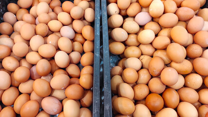 photo of a pile of eggs being sold in a supermarket and placed in a box