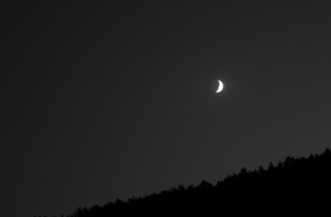 moon in the sky on a background of trees