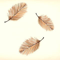 Feathers