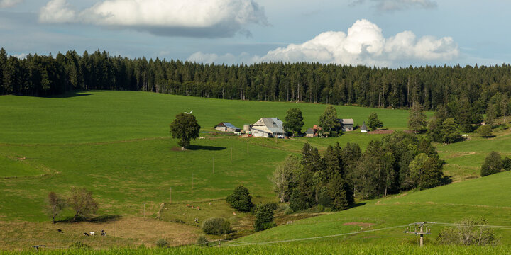 Farm near St.Peter in the Black Forest