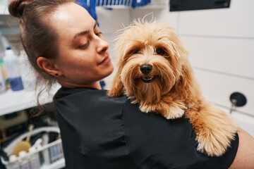 Reliable specialist of the grooming house with cute pet