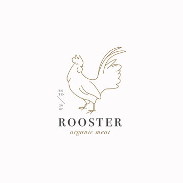 Vector design linear template logo or emblem - farm rooster. Abstract symbol for meat shop or butchery.