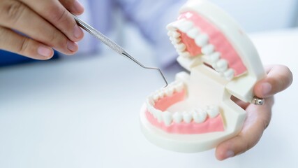 Dentist at dental clinic White healthy tooth with Dental model in oral surgeons discussing jaw x-ray on tablet medicine healthcare oral surgery concept