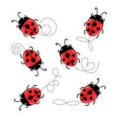 Set of cartoon ladybird mascot. A small ladybugs flying on a dotted route. Vector characters. Incest icon. Template design for invitation, cards. Doodle style