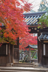 Obraz premium Historical building in Nara, Japan in autumn season