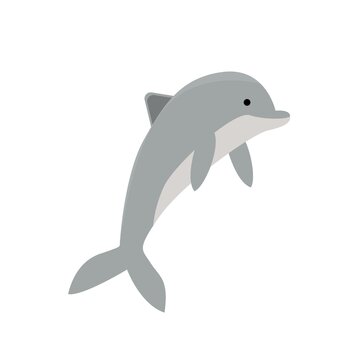 Vector illustration of a dolphin.