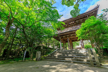 夏の功山寺　山門　山口県下関市　Kozanji temple in summer Yamaguchi-ken Shimonoseki city