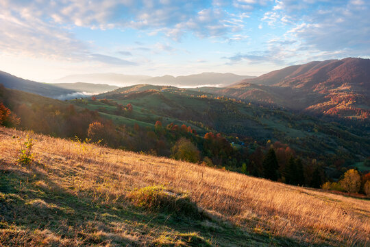 carpathian rural landscape at sunrise. trees in colorful foliage on grassy rolling hills. beautiful mountain scenery in autumn. bright sunny weather