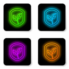 Glowing neon line Shield with leaf icon isolated on white background. Eco-friendly security shield with leaf. Black square button. Vector