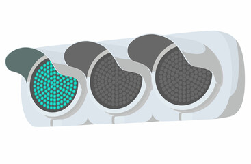 LED式交通信号機（青信号）