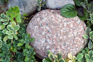 Round brown large stone on a background of greenery. Mockup.